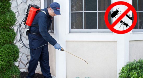 Babadağ Kene İlaçlama böcek ilaçlama ve haşere kontrolü — ilaclama-tr.com